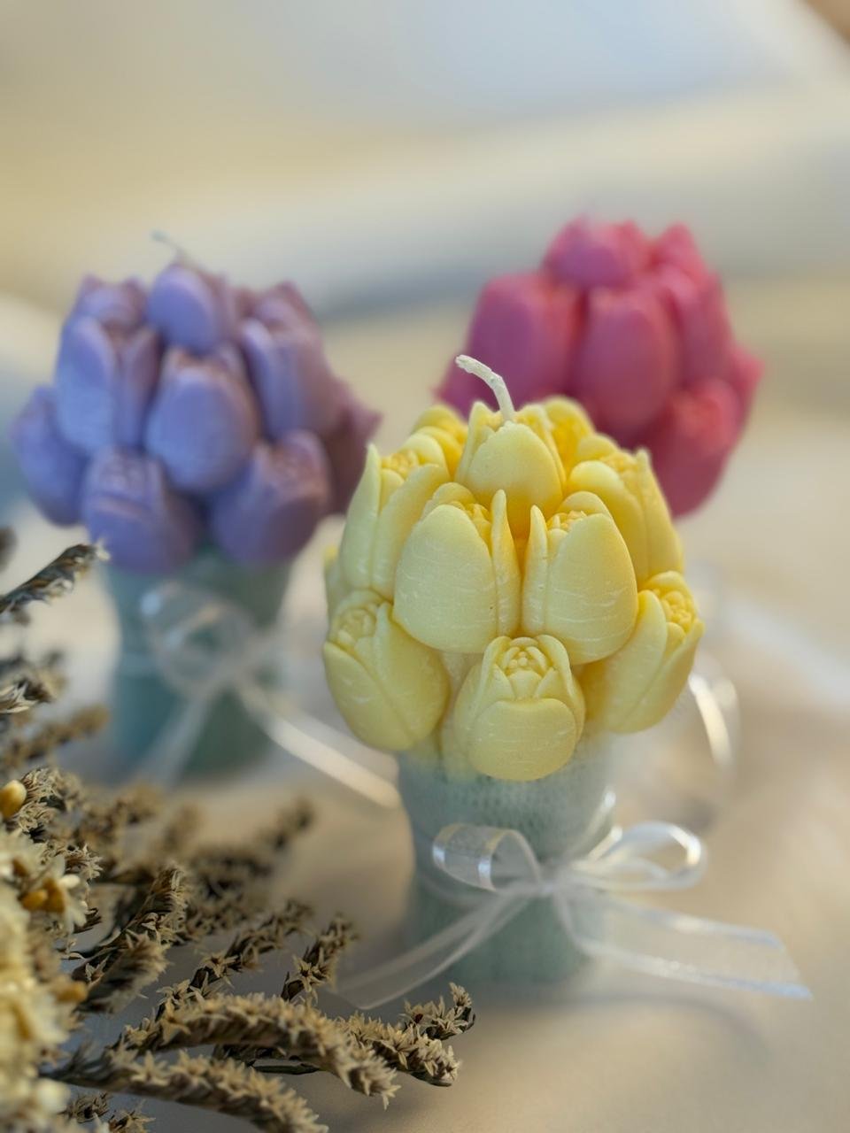 Vela Tulipán